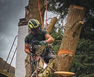 Tree Surgeons Doncaster