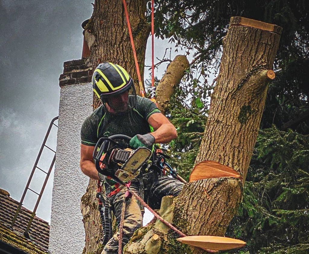 Tree Surgeons Doncaster
